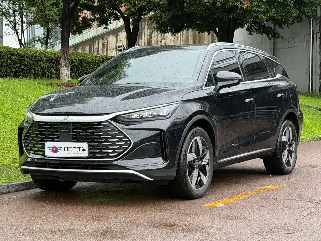 BYD Tang New Energy — фото 1