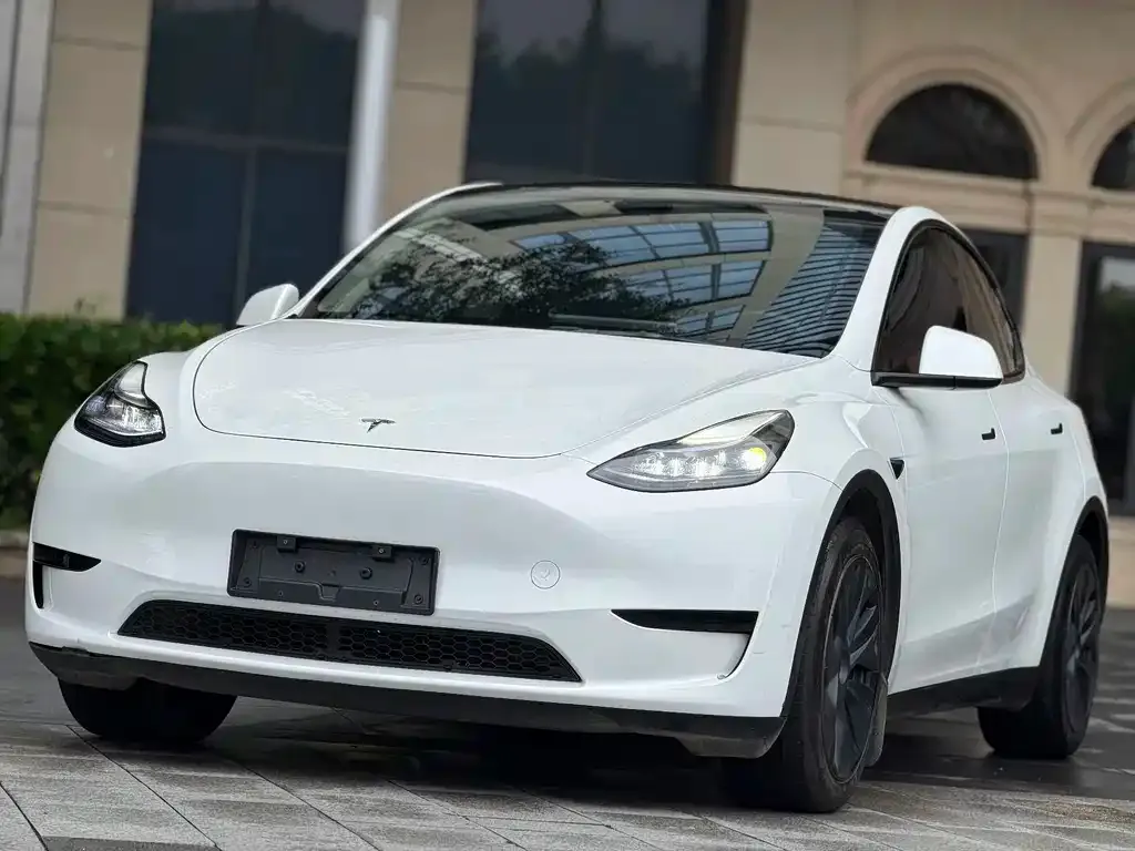 Tesla Model Y — фото 1