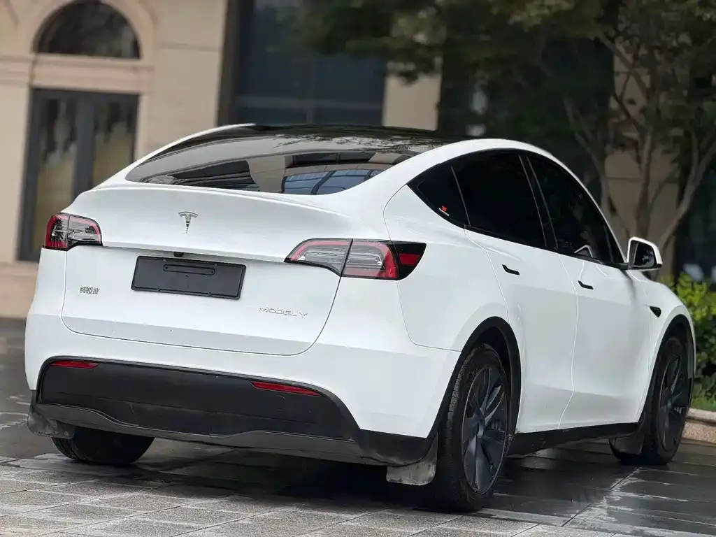 Tesla Model Y — фото 8