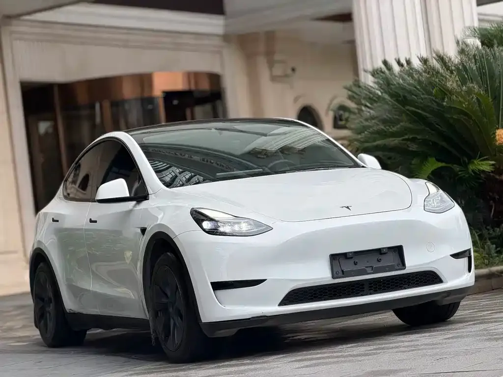 Tesla Model Y — фото 5