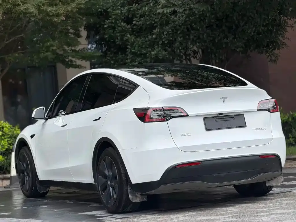 Tesla Model Y — фото 9