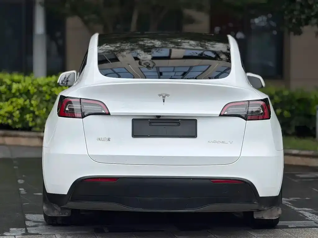 Tesla Model Y — фото 2