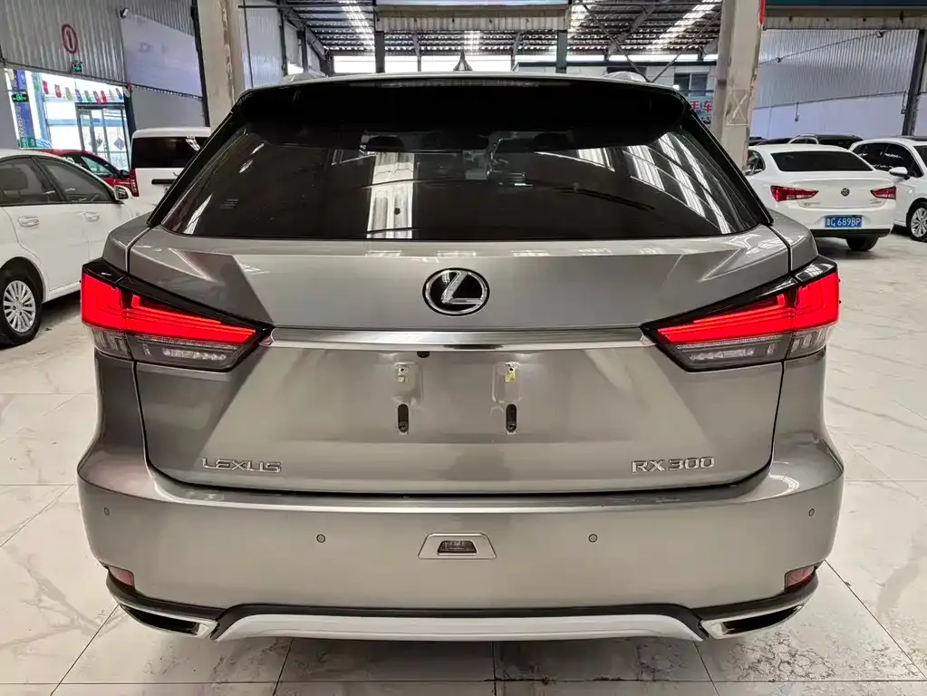 Lexus RX — фото 8