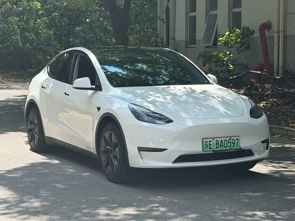 Tesla Model Y — фото 6
