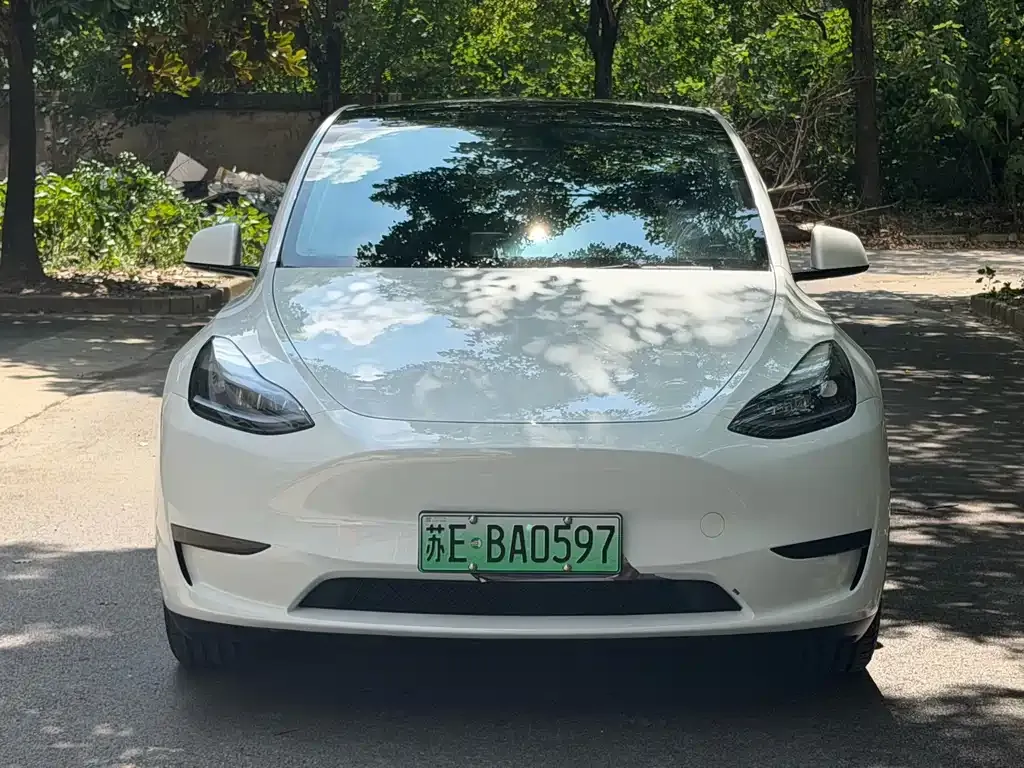 Tesla Model Y — фото 2