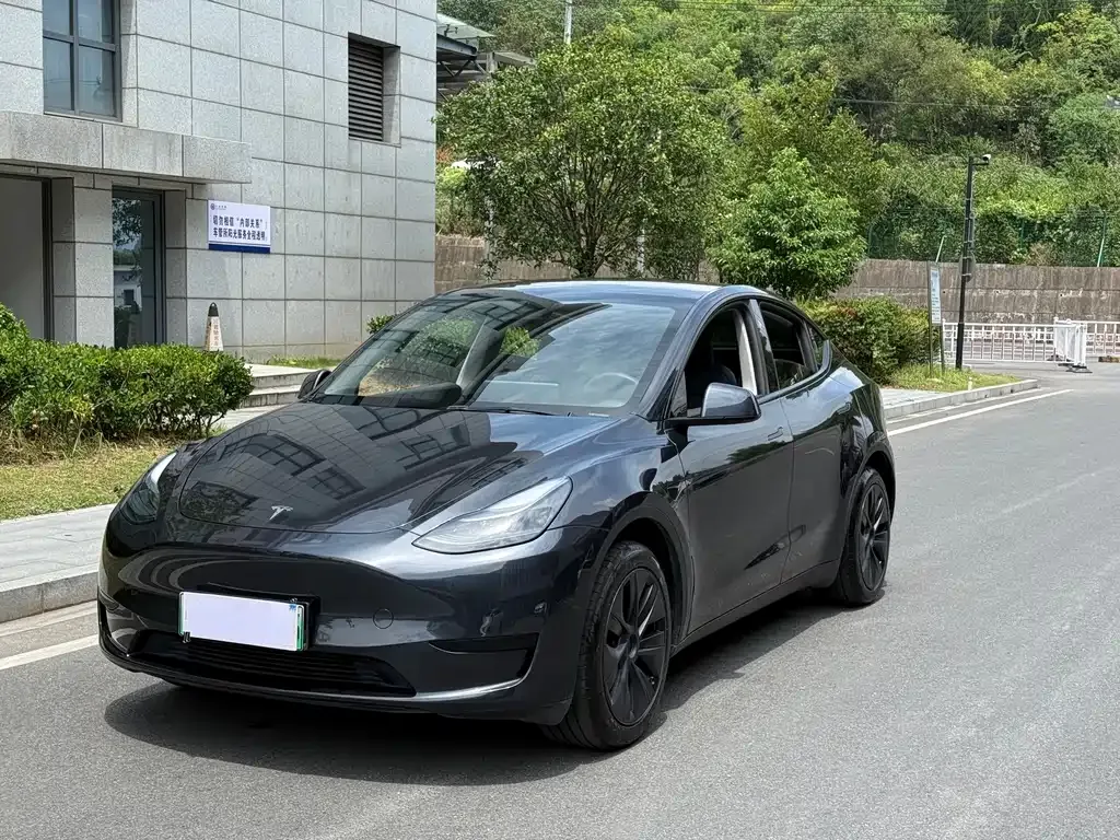Tesla Model Y — фото 1