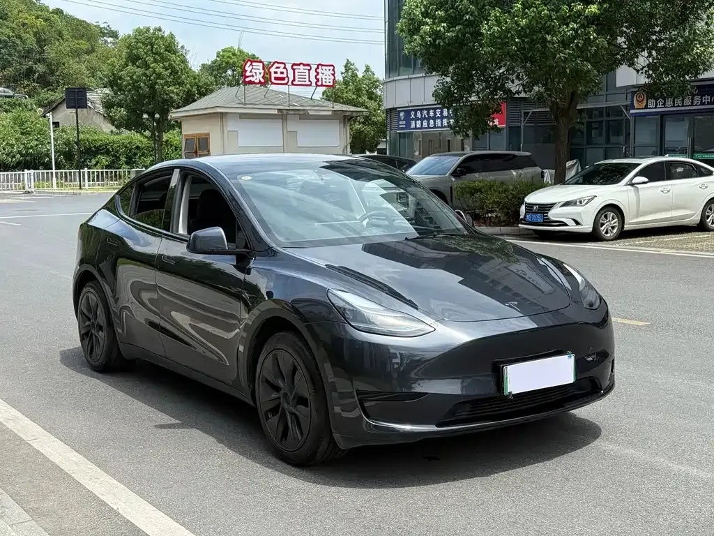 Tesla Model Y — фото 8