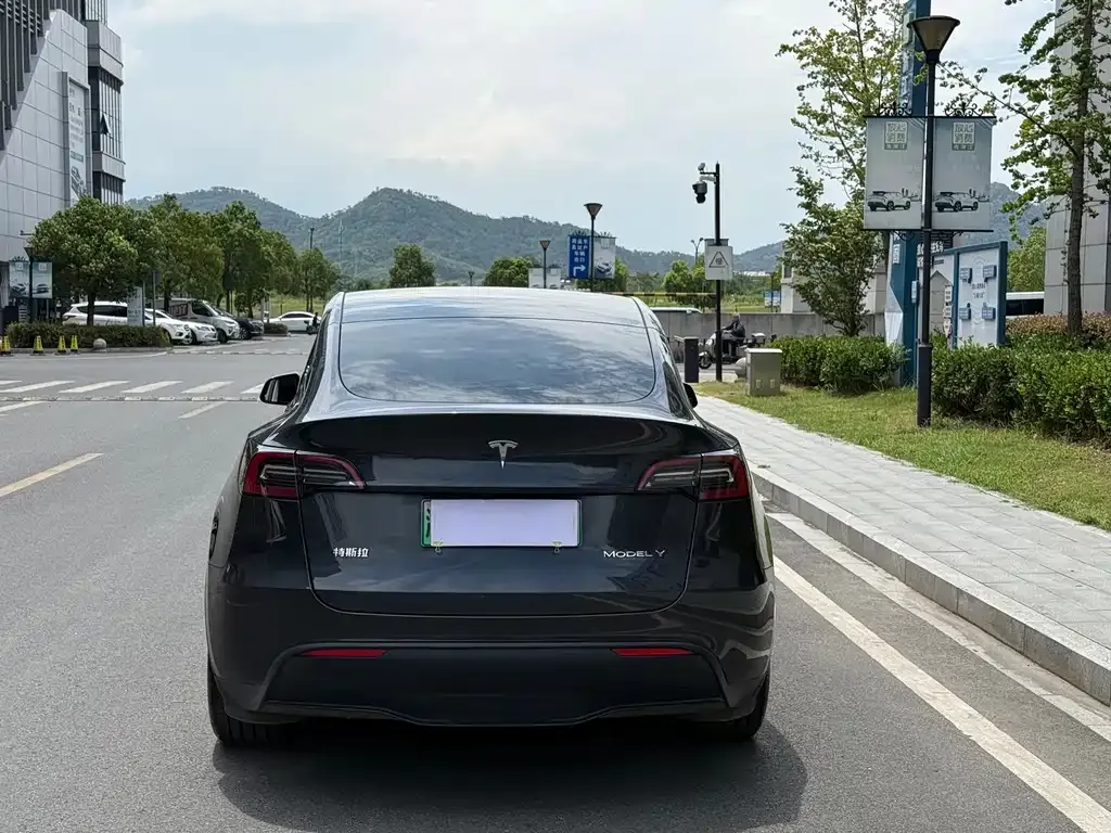 Tesla Model Y — фото 2