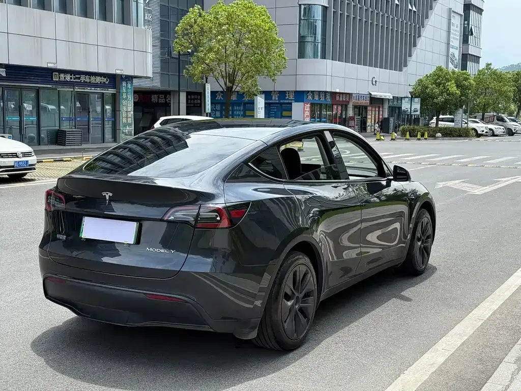 Tesla Model Y — фото 10