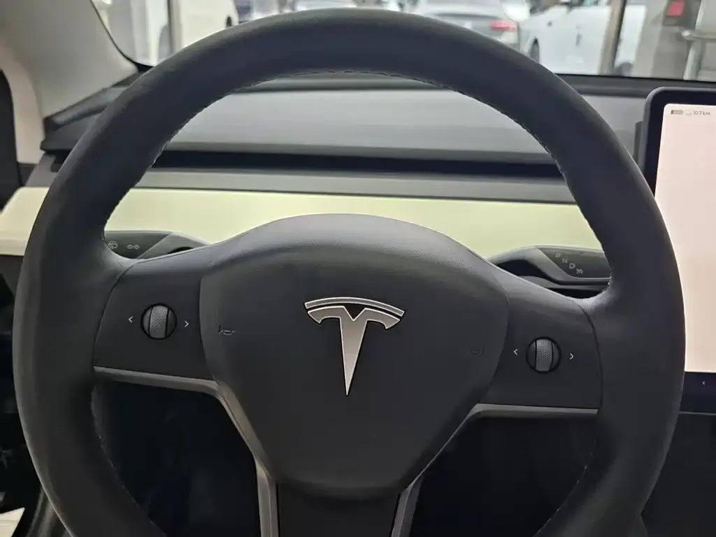 Tesla Model 3 — фото 4