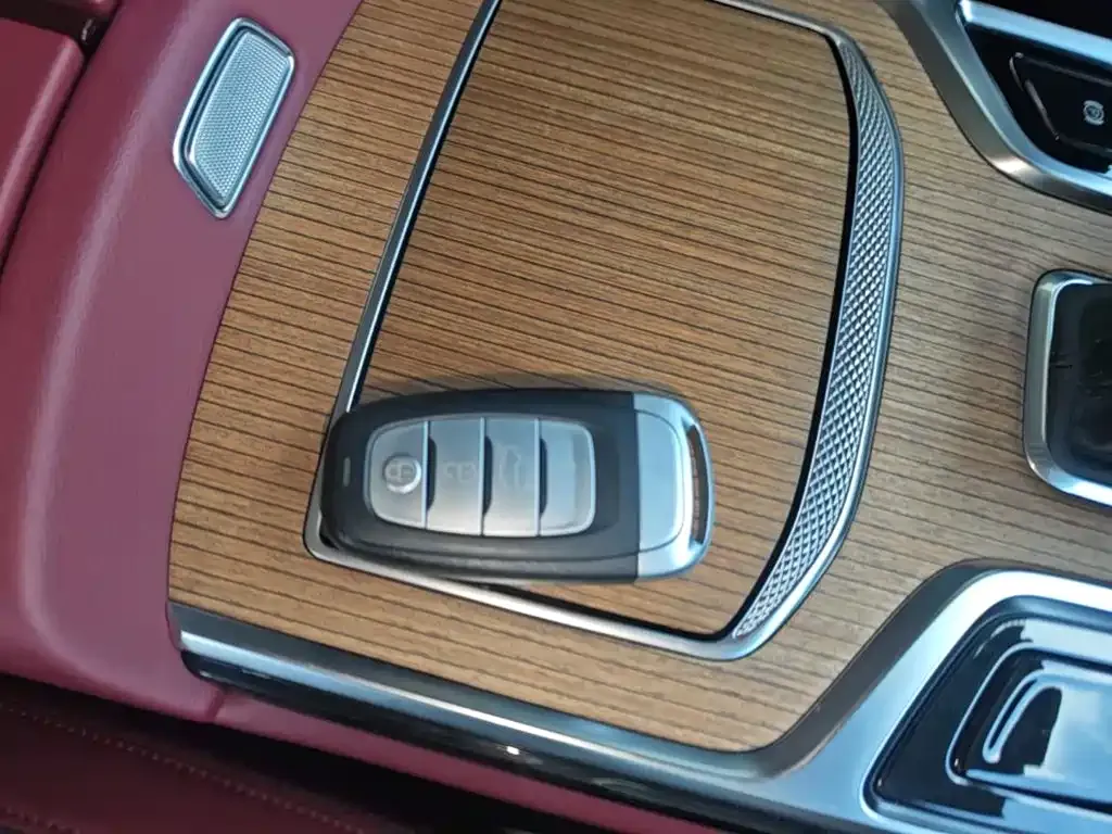 Hongqi E-HS9 — фото 5