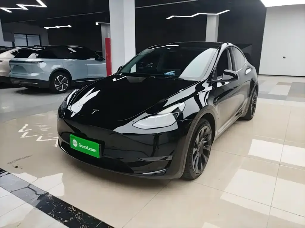Tesla Model Y — фото 8