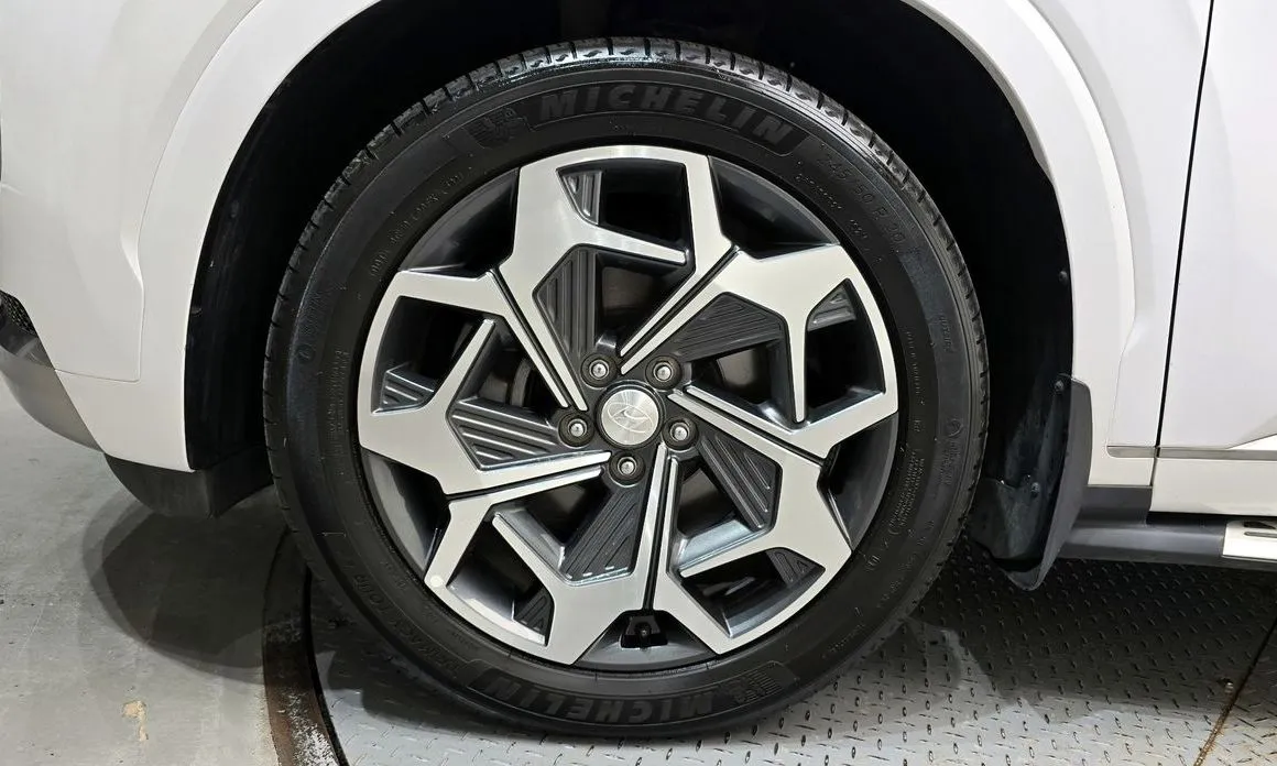 Hyundai Palisade — фото 10