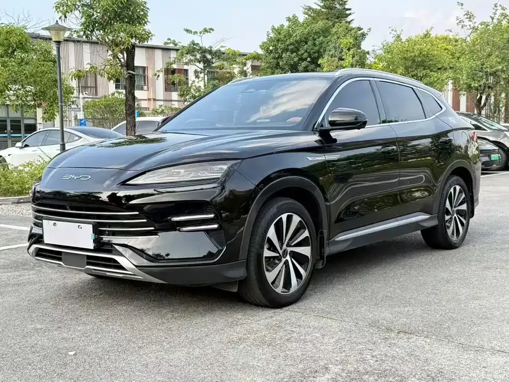 BYD PLUS New Energy — фото 1