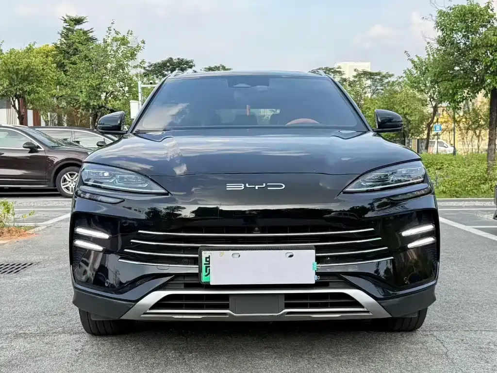 BYD PLUS New Energy — фото 2