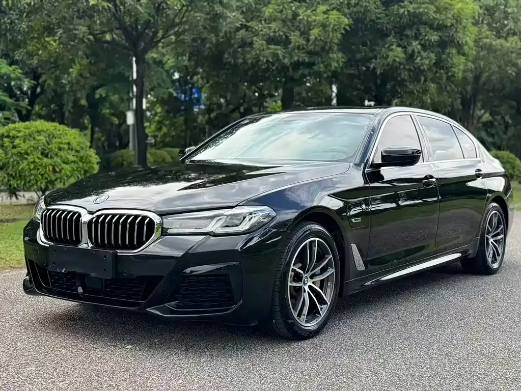 BMW 5 Series New Energy — фото 1