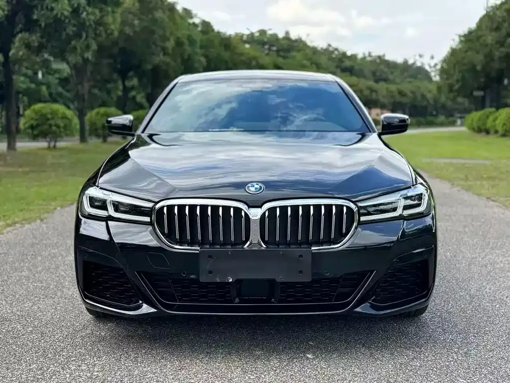 BMW 5 Series New Energy — фото 10