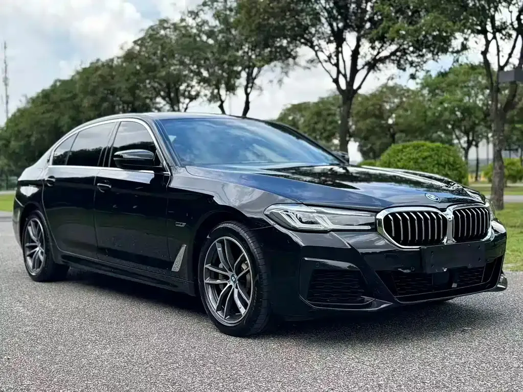 BMW 5 Series New Energy — фото 6