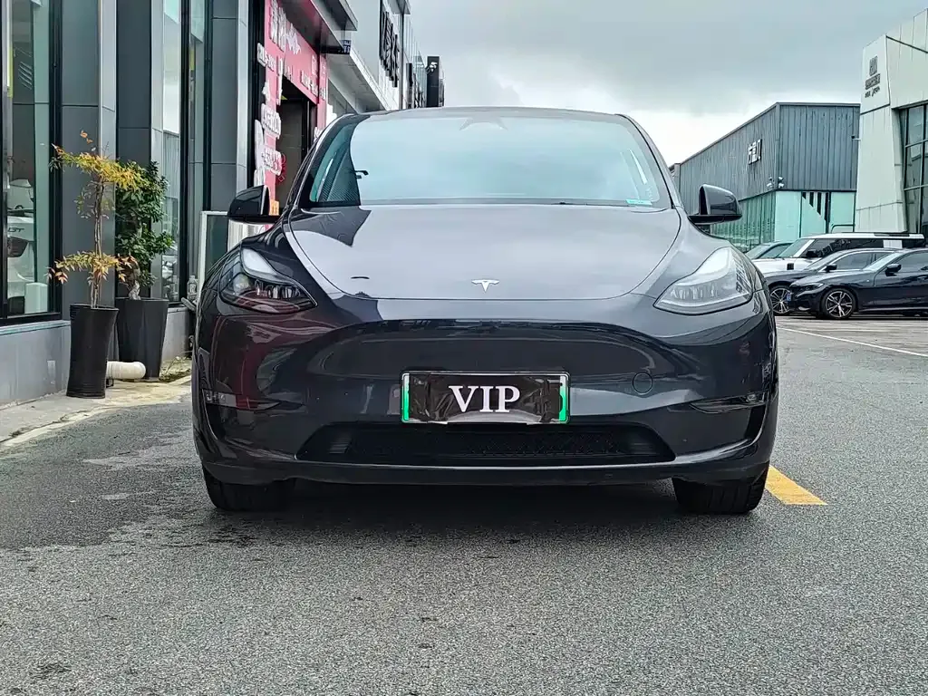 Tesla Model Y — фото 7