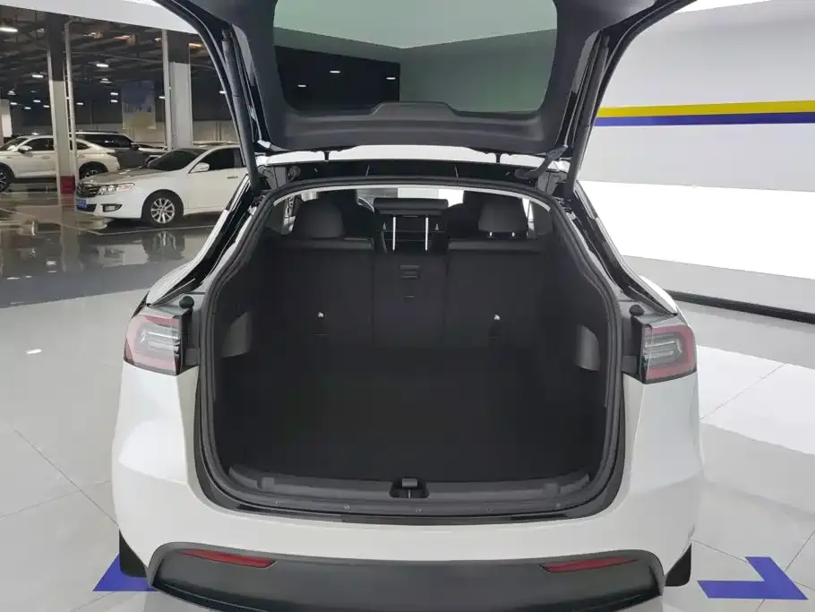 Tesla Model Y — фото 9