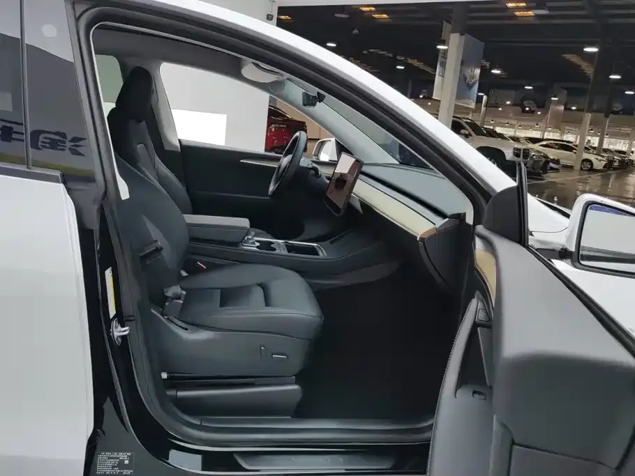 Tesla Model Y — фото 10