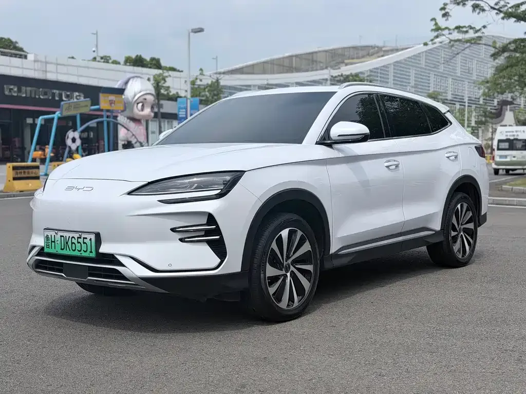 BYD PLUS New Energy — фото 1
