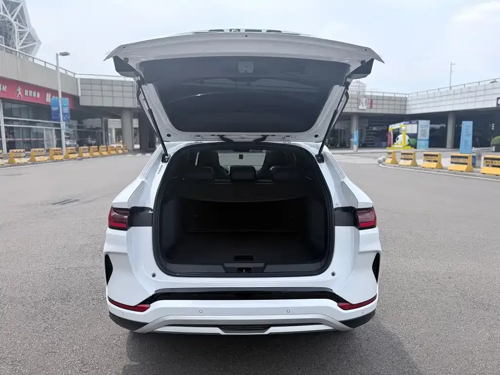 BYD PLUS New Energy — фото 6