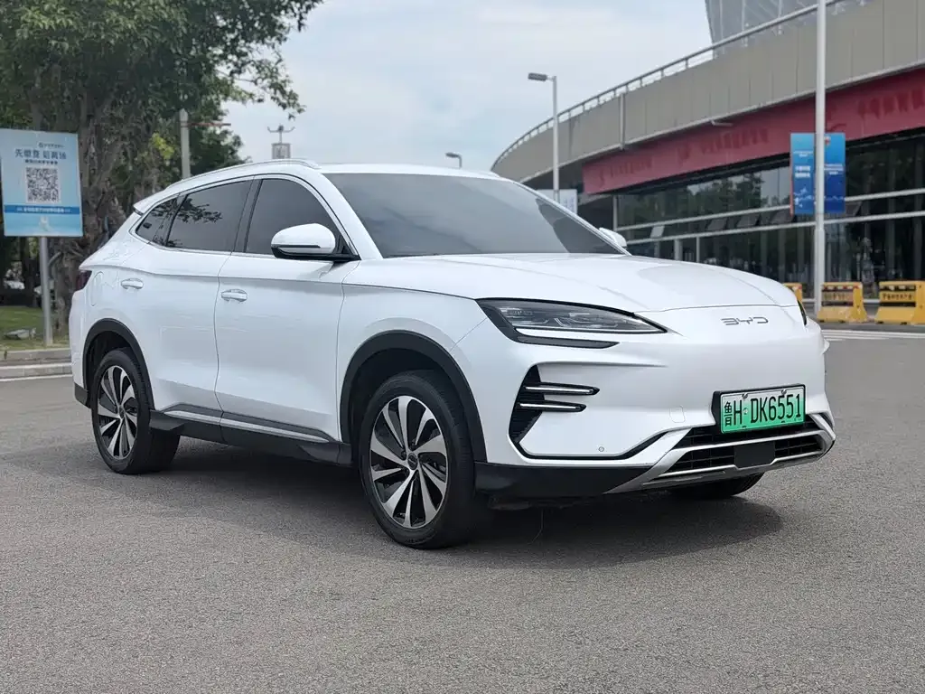 BYD PLUS New Energy — фото 8