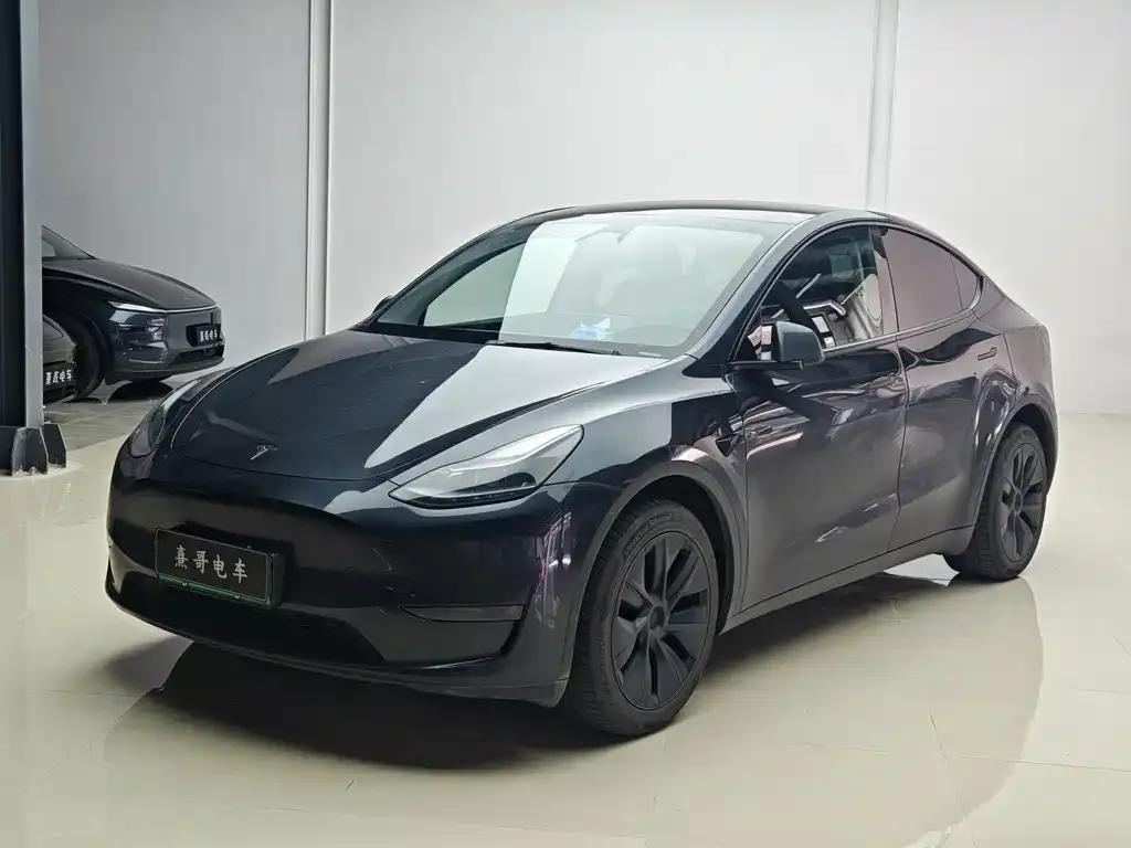 Tesla Model Y — фото 1