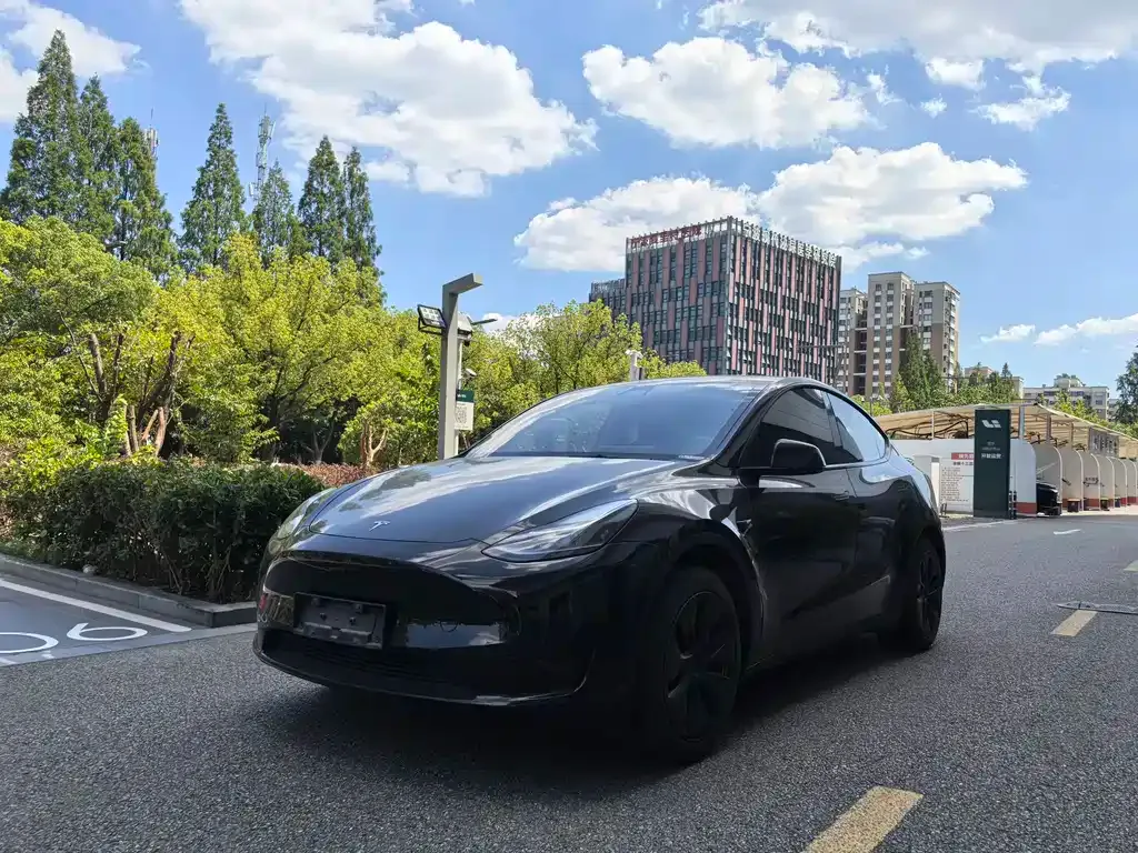 Tesla Model Y — фото 1