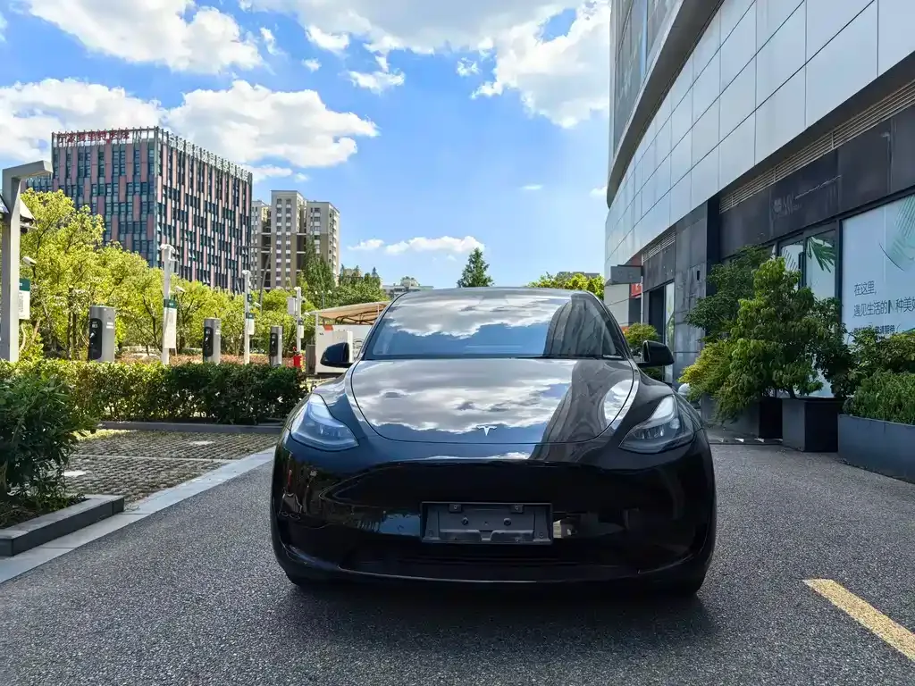 Tesla Model Y — фото 10