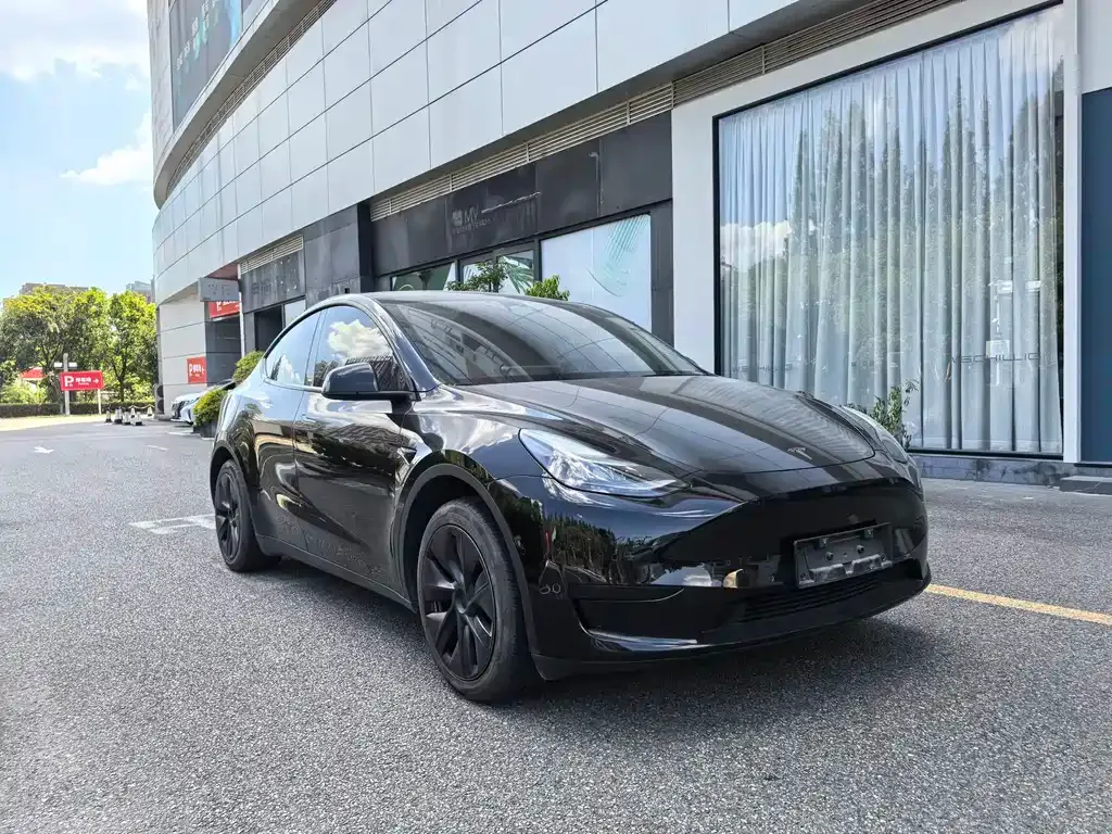Tesla Model Y — фото 8