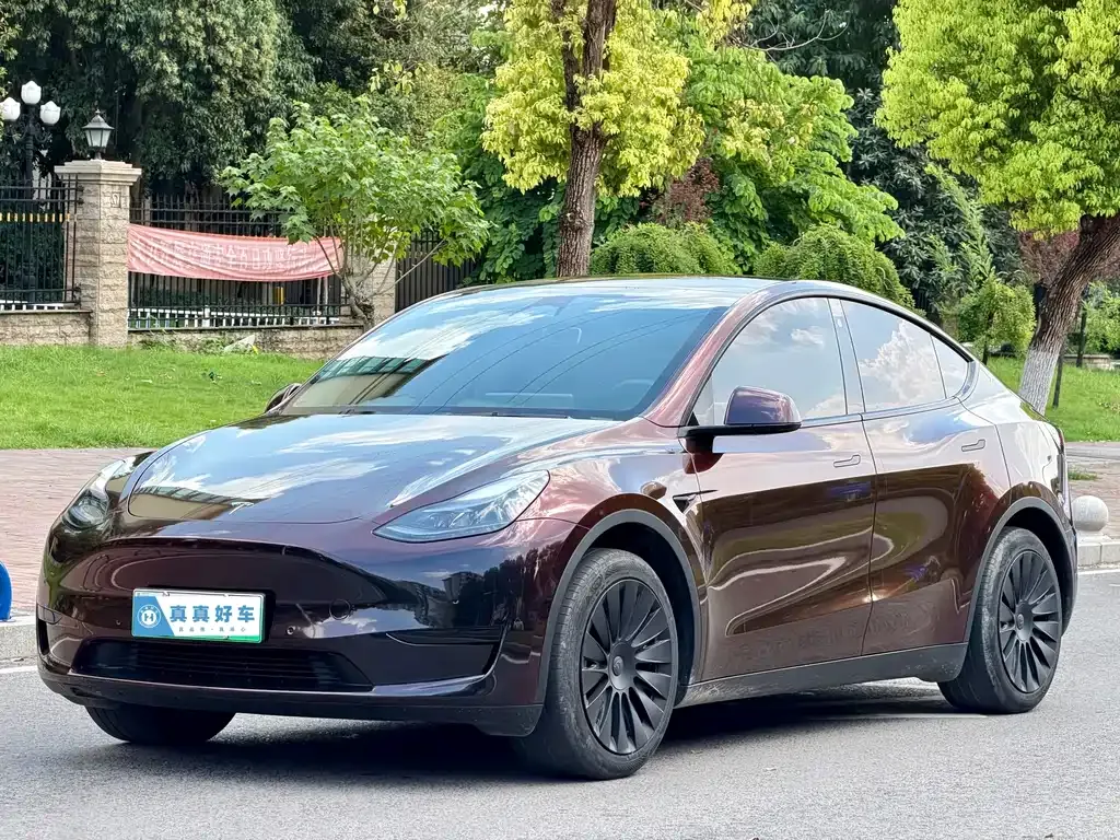 Tesla Model Y — фото 1