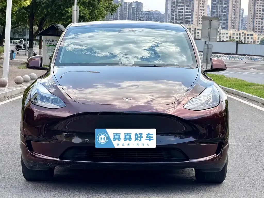Tesla Model Y — фото 10