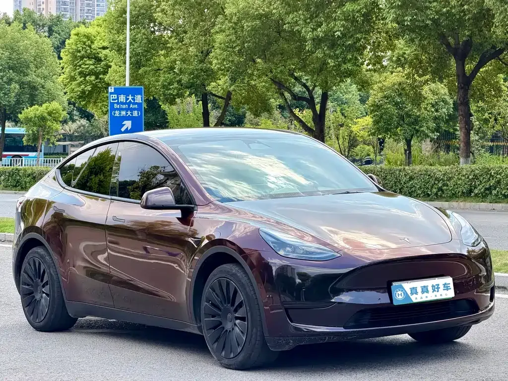 Tesla Model Y — фото 6