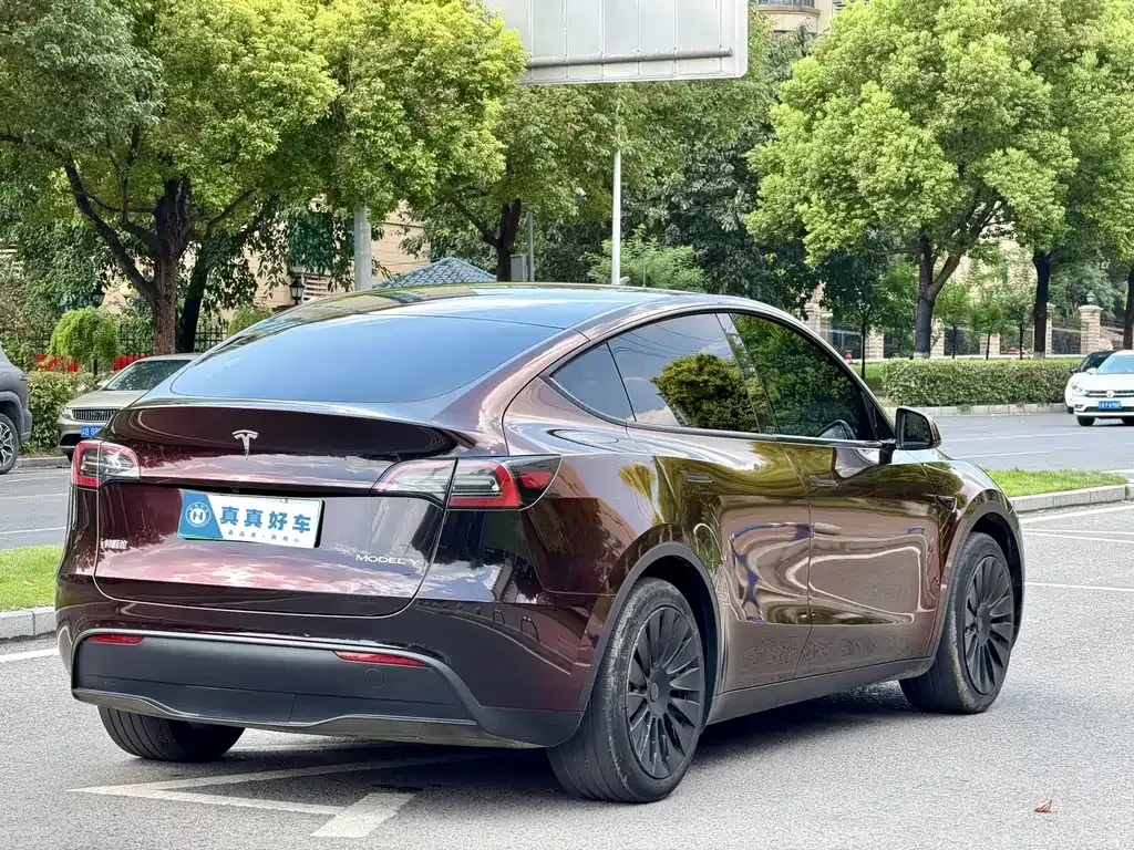 Tesla Model Y — фото 7