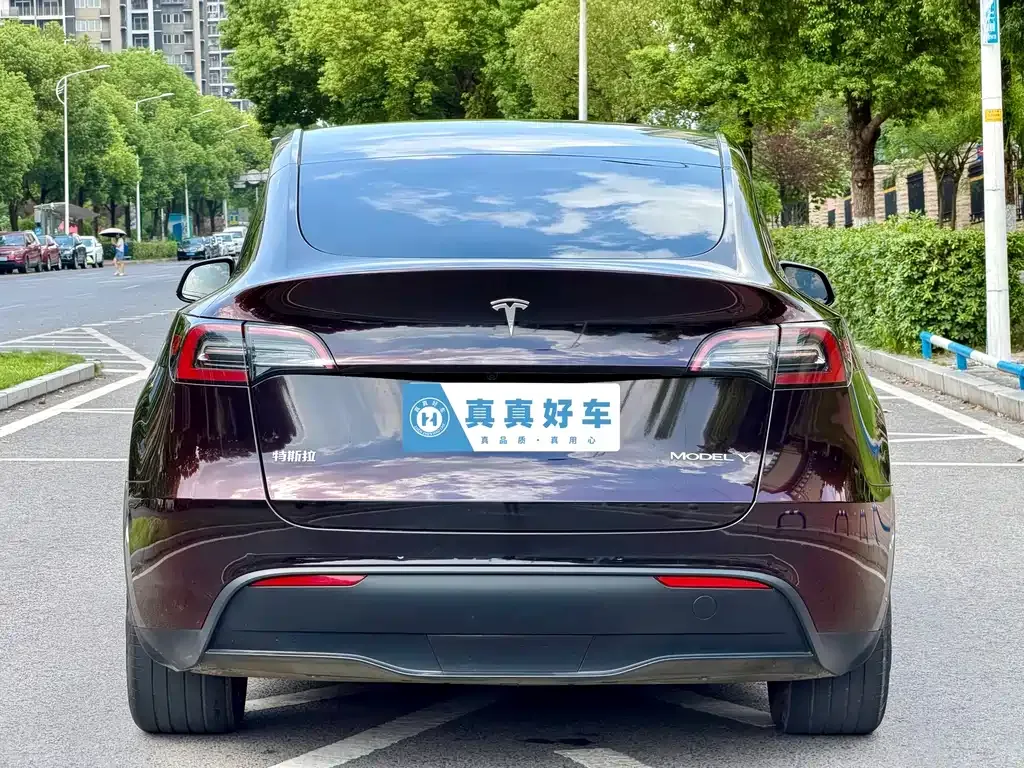 Tesla Model Y — фото 8