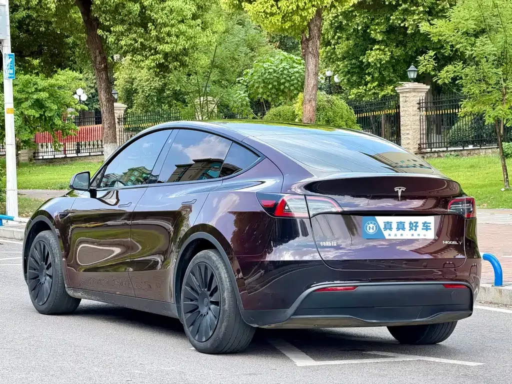 Tesla Model Y — фото 5