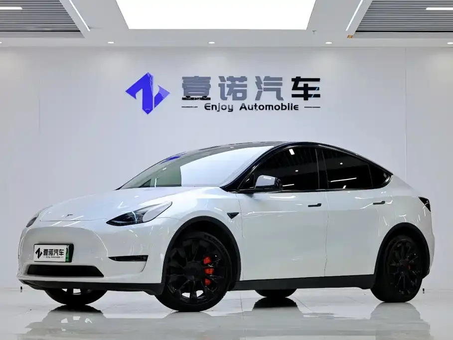 Tesla Model Y — фото 1