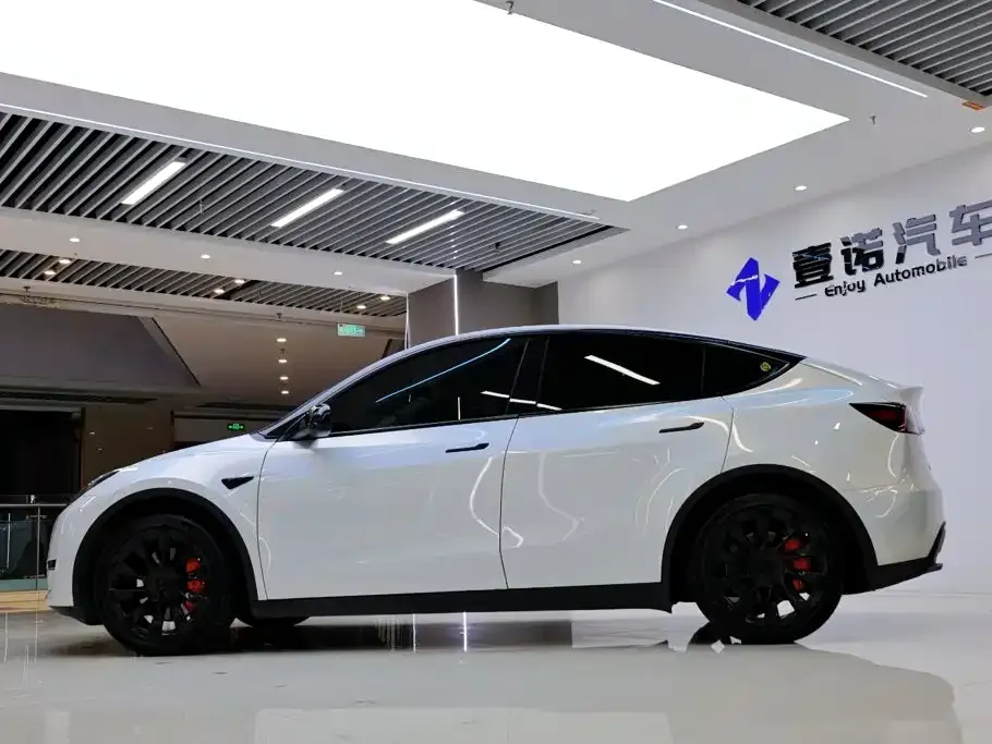 Tesla Model Y — фото 3