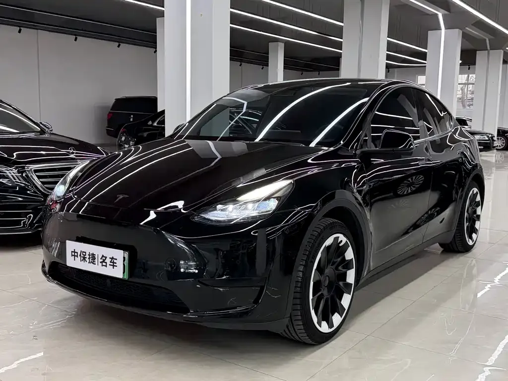 Tesla Model Y — фото 1