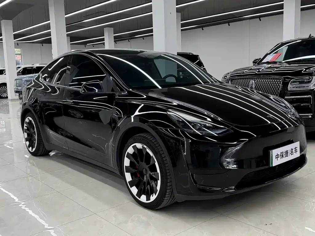Tesla Model Y — фото 10