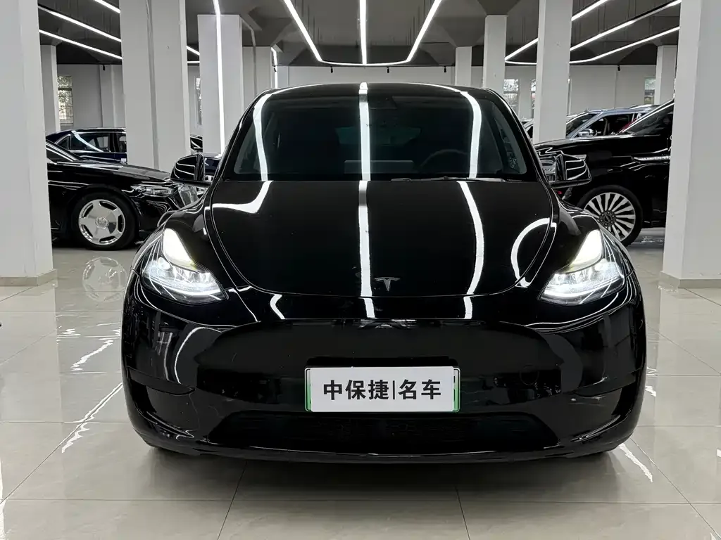 Tesla Model Y — фото 2