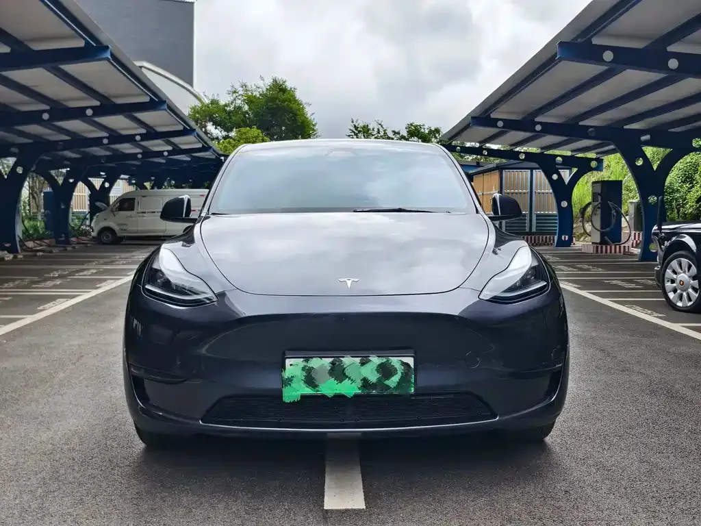 Tesla Model Y — фото 6