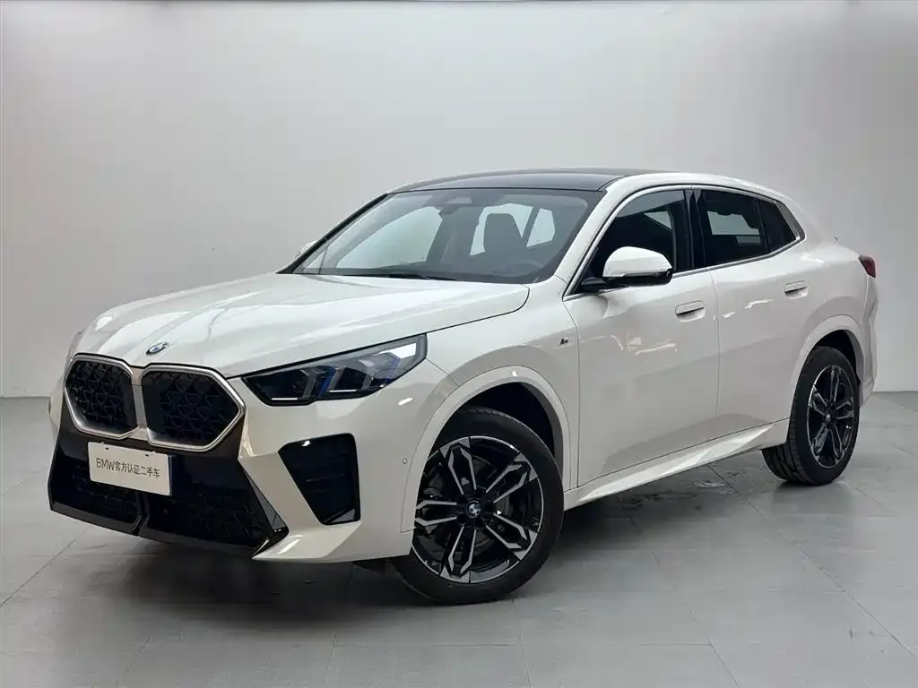 BMW X2 (Import) — фото 1