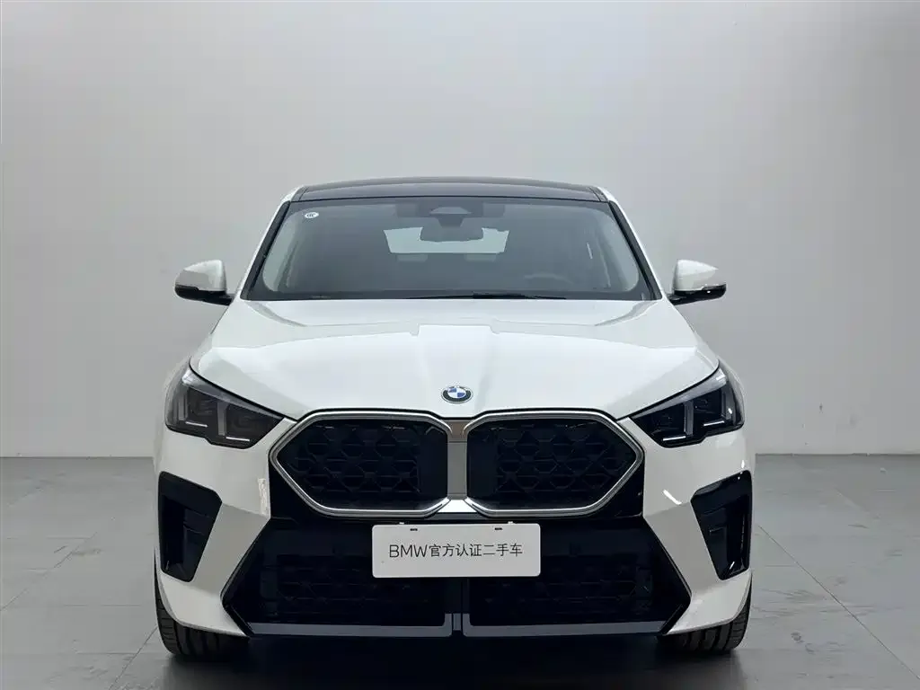 BMW X2 (Import) — фото 9