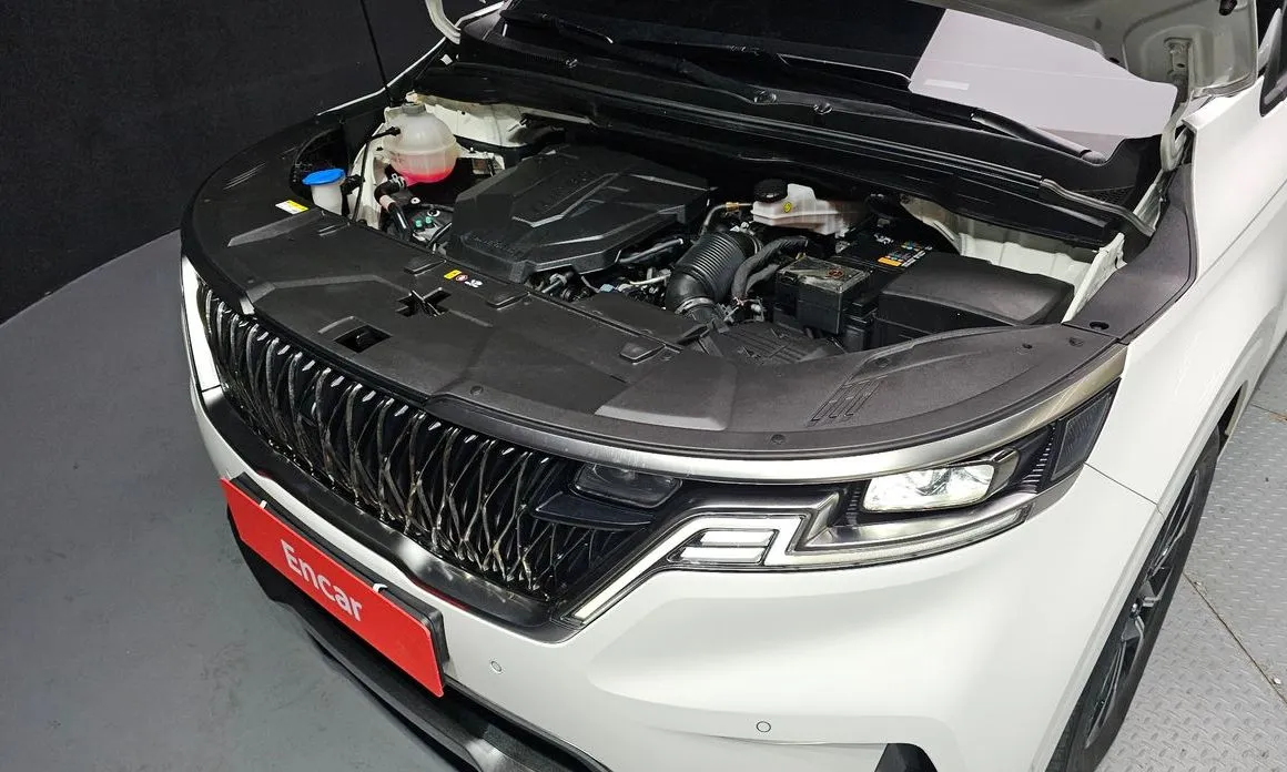 Kia Carnival — фото 10