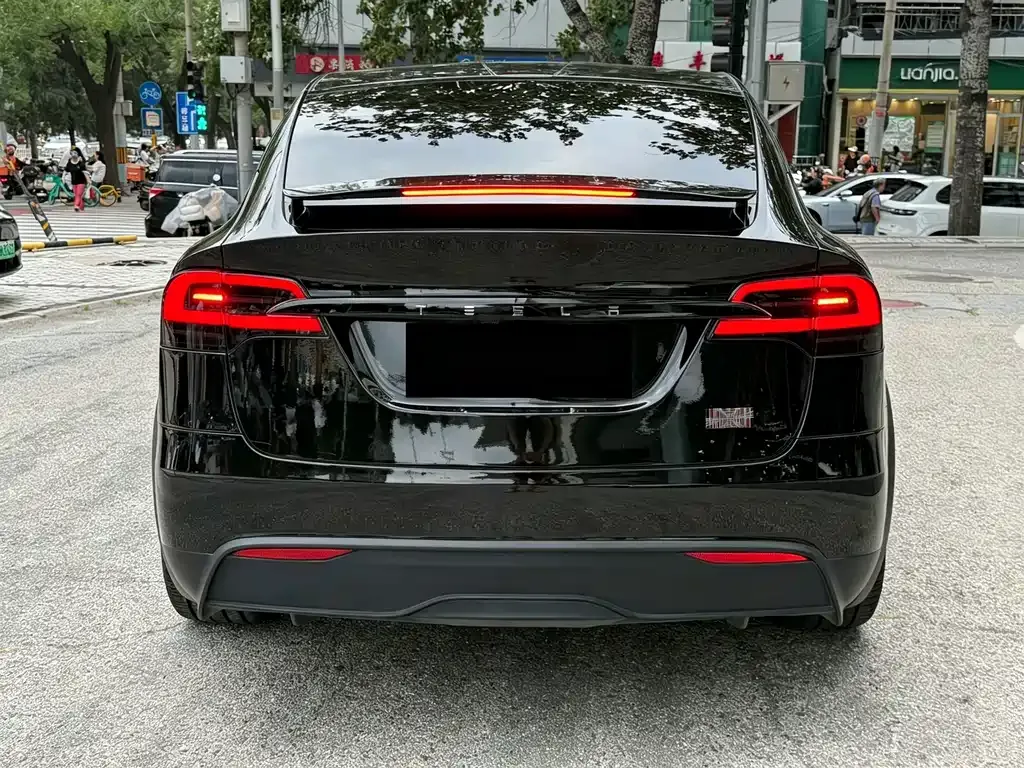 Tesla Model X — фото 10