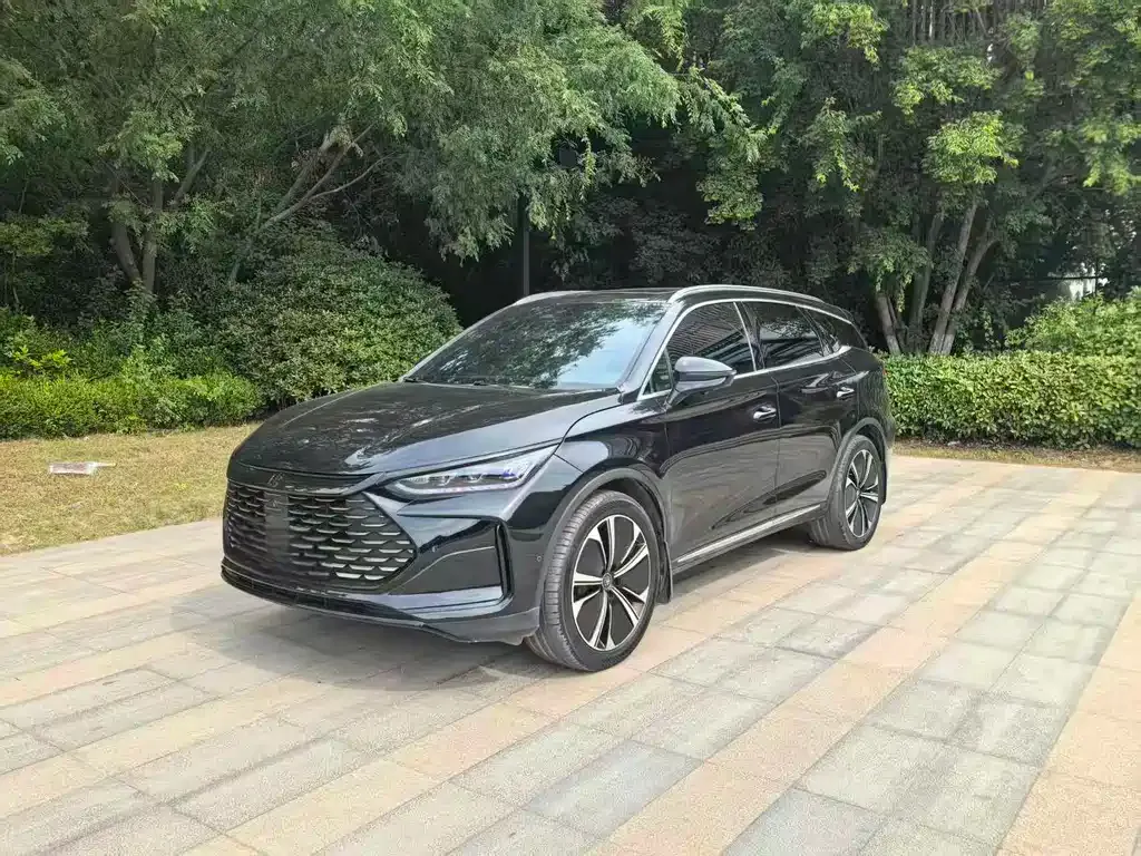 BYD Tang New Energy — фото 1