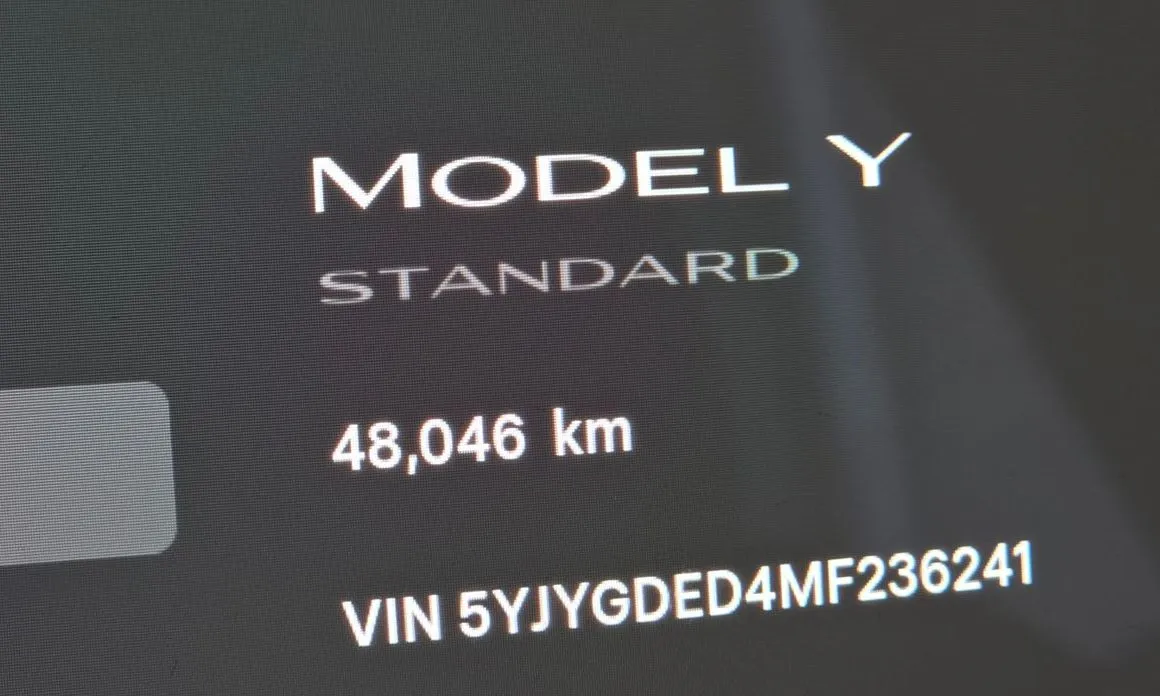 Tesla Model Y — фото 8